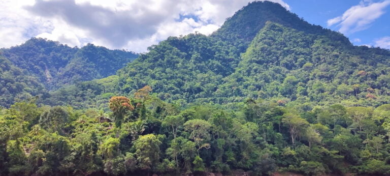 About us, located in the Amazon in Peru and what we do