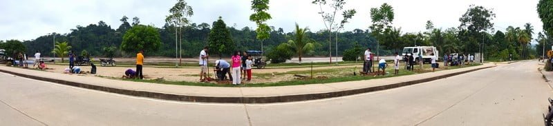 Panoramic view of a reforestation project with the ecological group Chuya Chuya in Peru